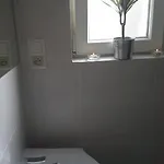 Baltic * 소포트